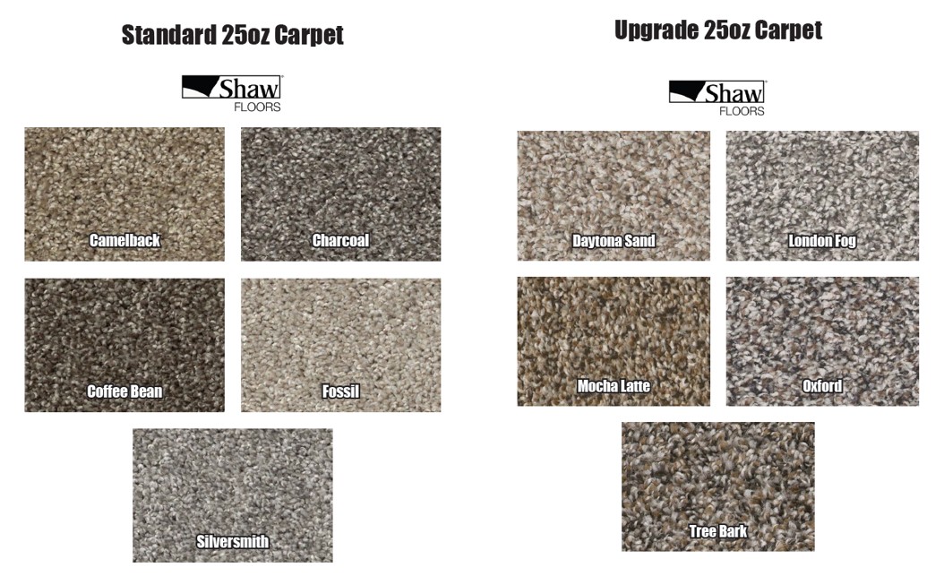 Carpet 1