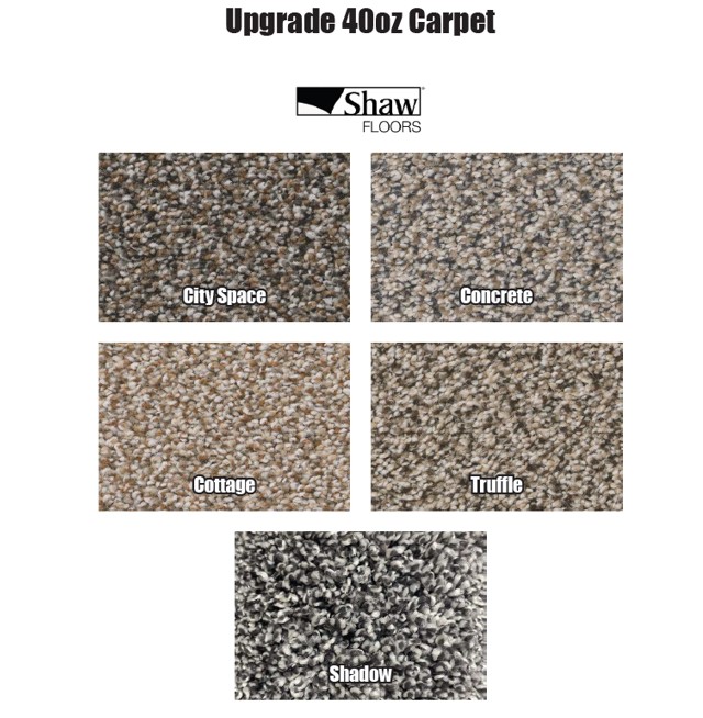 Carpet 2